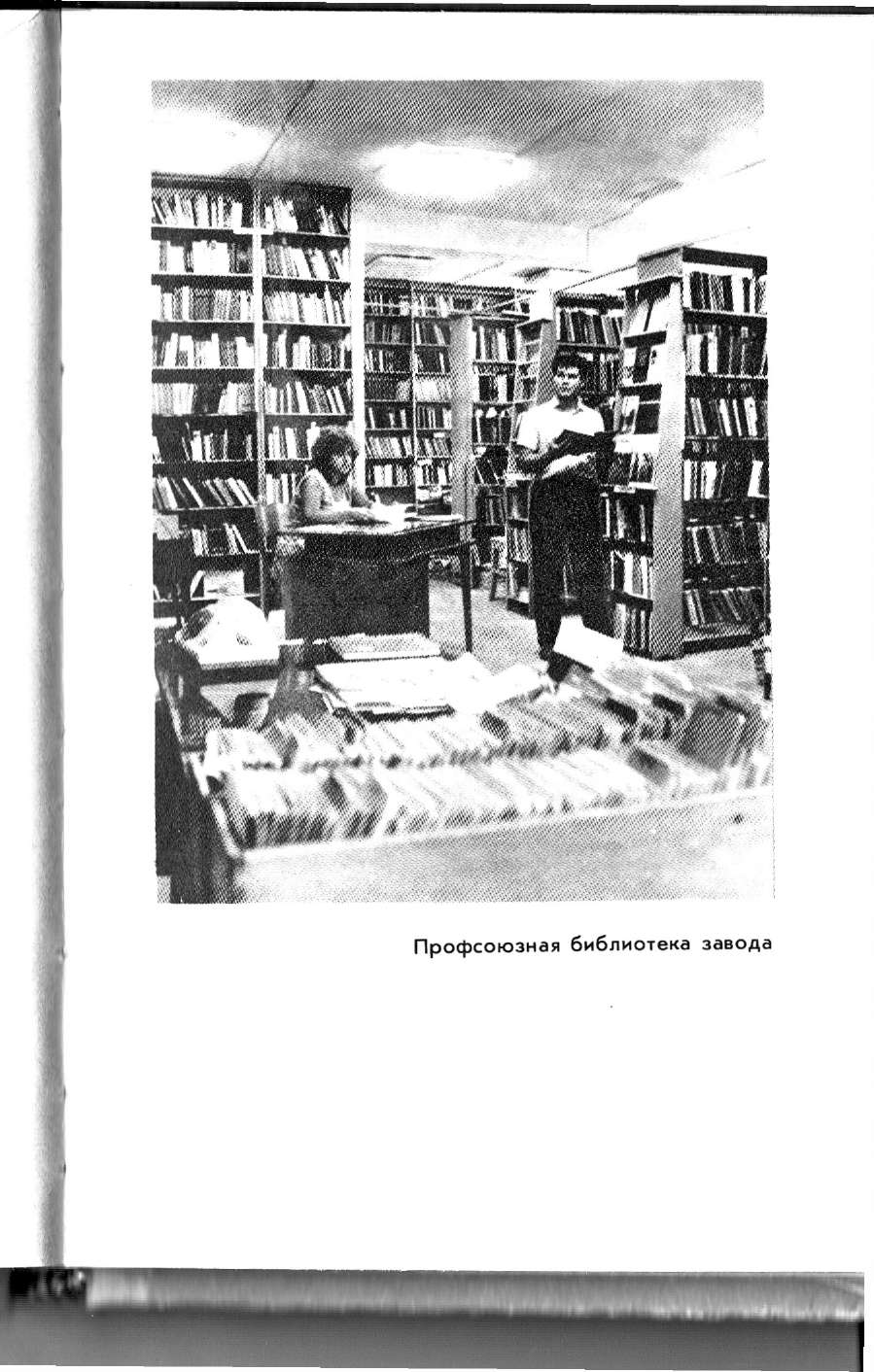 profsoyuznaya biblioteka